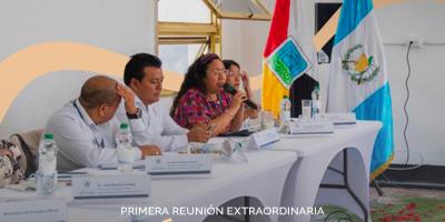 Primera Reunión Extraordinaria de la Comisión de Trabajo de Pueblos Indígenas del CONADUR