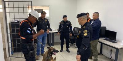 Viceministro Antinárcotico supervisa labor policial en Izabal