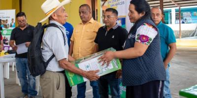 Bombas de fumigación 