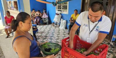 Entregan pilones de chile en San Luis