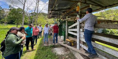 Intercambio de experiencias promueve la ganadería sostenible en Petén