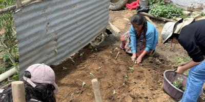 Huertos familiares apoyan la recuperación nutricional de niños en Totonicapán