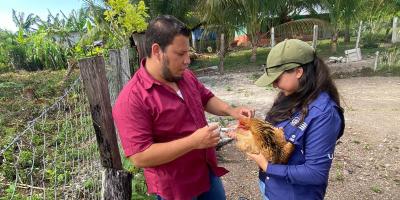 Jornada de vacunación aviar en San Andrés