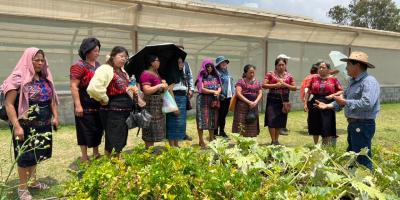 Mujeres de Xenacoj aprenden de huertos familiares y otros sistemas de producción