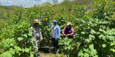Productores transforman su finca con modelo de ganadería sostenible 