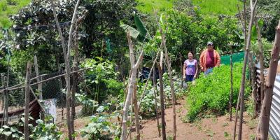 Asistencia técnica en campo fortalece huertos familiares