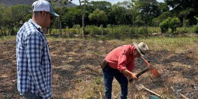 Brindan asistencia técnica en muestreo de suelos para cultivo de limón
