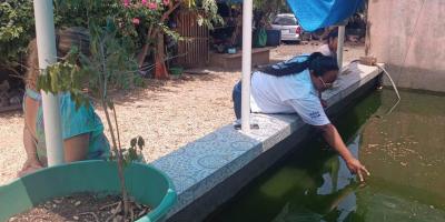 Brindan asistencia técnica para mejorar cultivo de tilapia en Petén