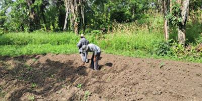 Calor persistente y lluvias intensas elevan riesgos para la producción agropecuaria