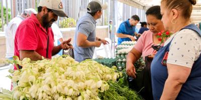 Consumo saludable impulsa agricultura sostenible