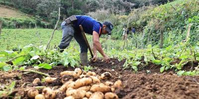 Crédito Tob’anik continúa fortaleciendo a pequeños productores