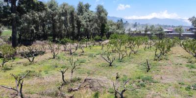 Emiten recomendaciones por las altas temperaturas y lluvias intensas