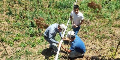 Extensionistas y universitarios tecnifican la producción agrícola en Alta Verapaz