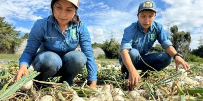 Futuros Peritos Agrónomos consolidan conocimientos para producción sostenible de hortalizas