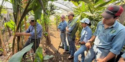 Futuros peritos agrónomos dominan procesos técnicos para la producción de follaje de corte