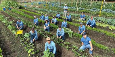 Futuros peritos agrónomos aplican el modelo "Aprender Haciendo" en cultivos hortícolas