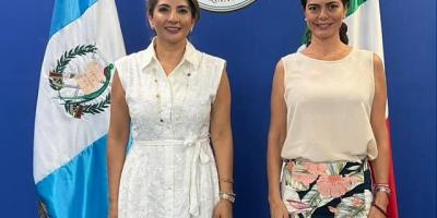 nota de prensa