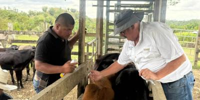 Realizan acciones de prevención y control de la rabia bovina