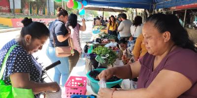 Impulsan comercialización directa con la Feria del Agricultor en El Progreso