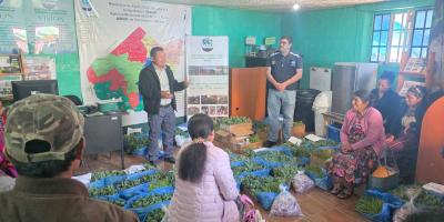 Impulsan la producción de hortalizas en beneficio en San Marcos