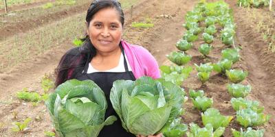 Liderazgo femenino en producción y comercialización