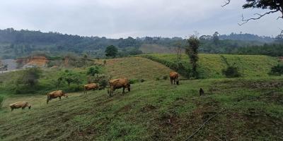Monitoreo en 266 municipios por riesgo agroclimático