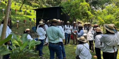 Optimizan capacidades técnicas de apicultores de Santa Rosa para fortalecer producción de miel