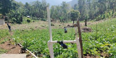 Optimizan sistemas productivos resilientes para asegurar el desarrollo sostenible del agro