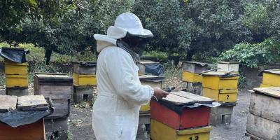 Productores apícolas formalizan su actividad en San Marcos