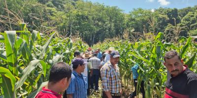 Productores de Poptún fortalecen conocimientos de cultivo de maíz