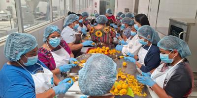 Promueven la transformación agroindustrial de productos agroforestales