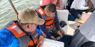 Registran avistamiento de manatí en Lago de Izabal