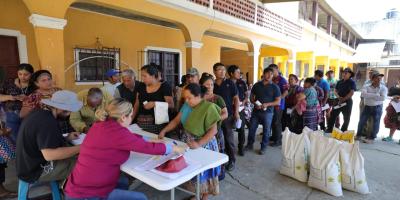 Semilla certificada impulsa recuperación agrícola de familias en Santa María de Jesús