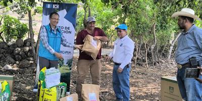 Semillas e insumos fortalecen la producción de frijol en el corredor seco
