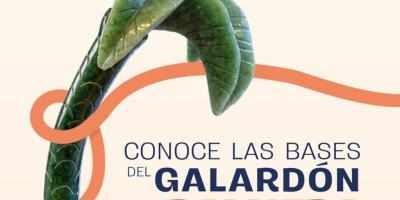 Galardón Palmera de Jade 2026