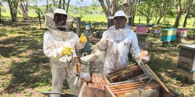 Asistencia técnica fortalece la apicultura de San José, Petén