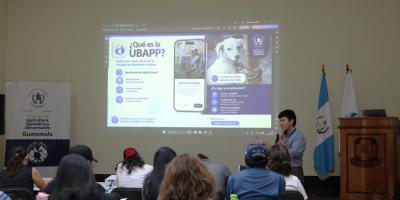 Diplomado fortalece atención institucional en bienestar animal