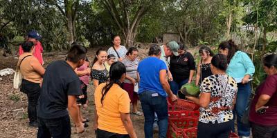 Cosechan alimentos en huerto comunal de Santa Rosa