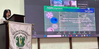 Productores y estudiantes fortalecen la prevención de cultivos de banano contra el Fusarium R4T