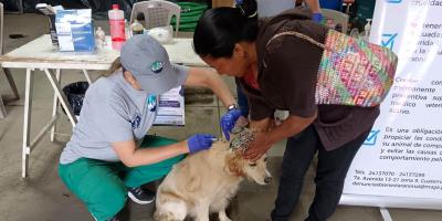 Fortalecen prevención del gusano barrenador en Sacatepéquez