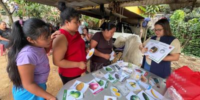 Impulsan alimentación saludable y huertos comunitarios en Suchitepéquez