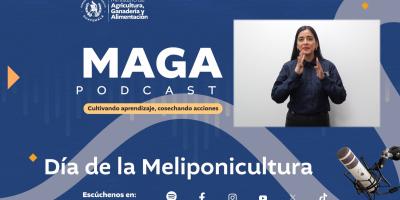 MAGA Podcast: Día de la Meliponicultura