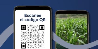 Prepárese para junio y julio con información agroclimática oportuna