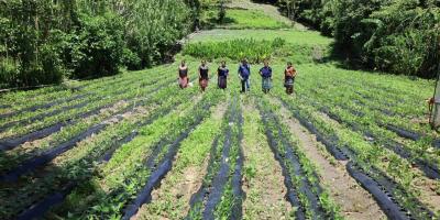 Los trópicos y la agricultura sostenible, un compromiso con la seguridad alimentaria