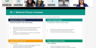 nota de prensa