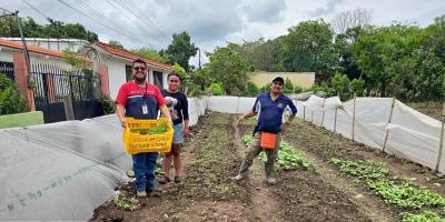 Diversifican cultivos de hortalizas con entrega de pilones
