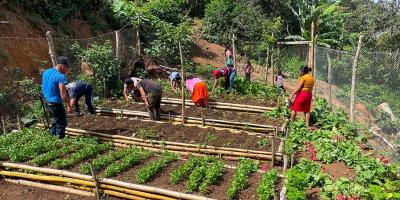 Cosecha exitosa en comunidades de Jocotán impulsa la disponibilidad de alimentos