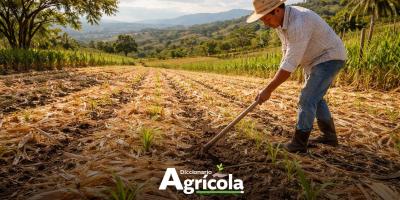 Diccionario Agrícola: Uso de Rastrojos