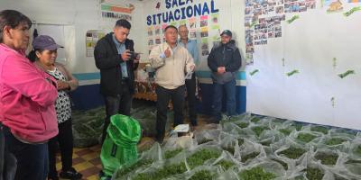 Entregan pilones de hortalizas para impulsar la seguridad alimentaria en San Marcos