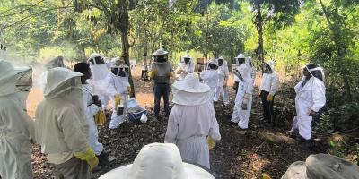 Fortalecen conocimientos de apicultores en crianza de reinas y manejo de colmenas